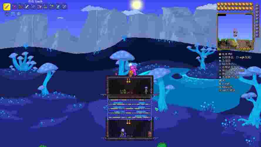 13739.jpg